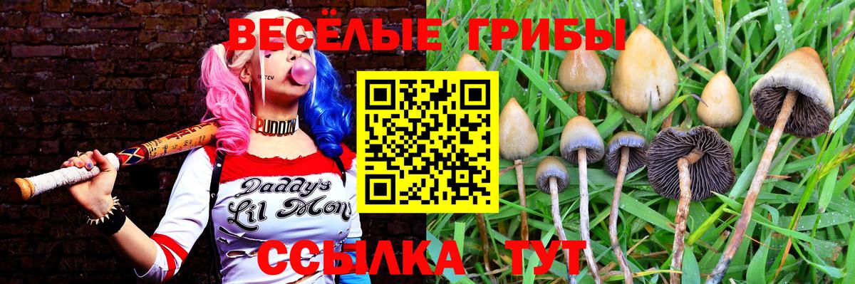 Псилоцибиновые грибы мицелий  Галлюциногенные грибы Cubensis  Моздок  Вход с VPN 