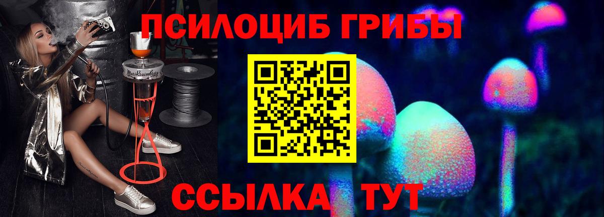 Псилоцибиновые грибы GOLDEN TEACHER Моздок